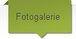 Fotogalerie