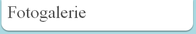 Fotogalerie